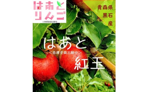 青森県産りんご　’はあと’紅玉　3K箱【1425256】 997928 - 青森県黒石市