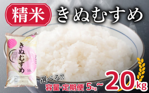 先行予約 】 新米 きぬむすめ 5kg 10kg 20kg 精米 選べる 容量 定期便 米 お届け回数 お米 選べる定期便 1回お届け 月1お届け  白米 直前精米 精米したて やまだ農園 豊田町 下関 山口 【 10月以降発送 】 - 山口県下関市｜ふるさとチョイス - ふるさと納税サイト