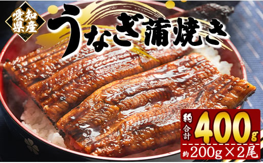 高知県香南市のふるさと納税 鰻 ウナギかば焼き うなぎ 国産 約200g×2尾(愛知県産) 人気 養殖 冷凍 ウナギ かばやき 惣菜 お手軽 加工品 加工食品 魚介類 フジ物産 fb-0013