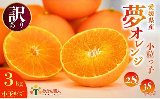 [訳あり]みかん職人の夢オレンジ 小粒っ子 3kg[発送期間:11月中旬〜1月下旬] 柑橘 果物 フルーツ 愛媛 みかん職人武田屋 蜜柑 愛果28号 愛媛果試第28号 まどんな 小玉 蜜柑