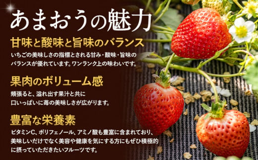 福岡県小竹町のふるさと納税 ★2025年出荷分★【先行予約】いちご あまおう 1620g (約270g×6パック) 苺 送料無料 【着日指定不可】《3月中旬-4月末頃出荷予定》 イチゴ 果物 フルーツ 福岡県 鞍手郡 小竹町