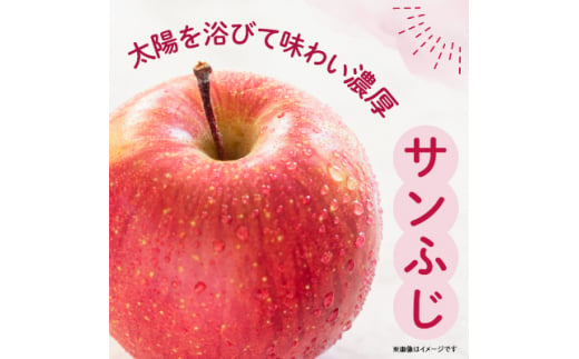 長野県中野市のふるさと納税 JA中野市の産直りんご「サンふじ」ご家庭用 10kg以上(28～36玉入)_ 林檎 リンゴ 訳あり 訳アリ わけあり 10kg 長野県 信州 くだもの 果物 フルーツ 人気 サンフジ 特産品 産地直送 赤秀 中野市 常温 家庭用 規格外 【1481009】