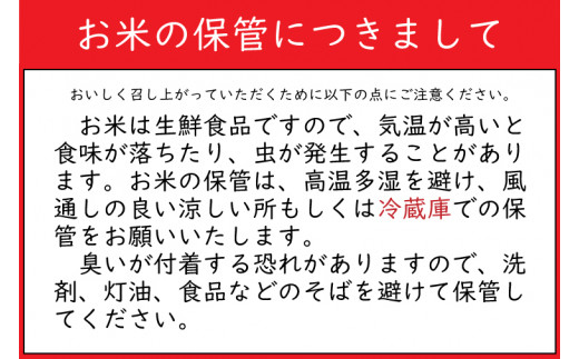 岩手県紫波町のふるさと納税 【新米 先行予約】令和6年産 銀河のしずく 10kg (玄米) 低農薬栽培米 生産者直送 生産地域限定ブランド米 (EI008)