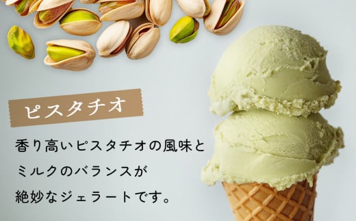 富山県氷見市のふるさと納税 【Himi Gelato】訳ありジェラート２Lピスタチオ