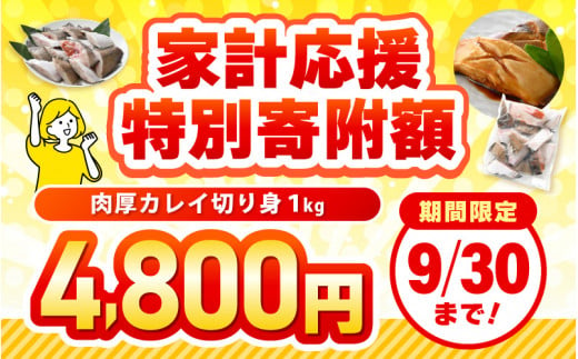 福井県越前町のふるさと納税 越前産 カレイ 切り身 たっぷり1kg バラ凍結 最短5営業日以内発送！ 使い勝手抜群！福井県網元漁師が厳選！肉厚な越前産カレイ（無塩） 【煮つけ用 かれい 鰈 塩焼き 焼き魚 煮付け バラ凍結便利 惣菜 冷凍食品 おかず 家計応援】 [e15-a057]