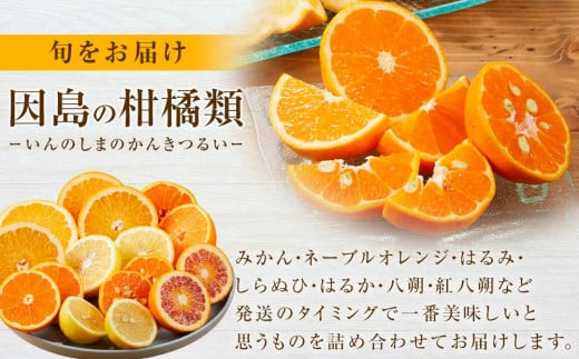 広島県尾道市のふるさと納税 【先行予約】季節の柑橘セット約5kg ＜2025年1月下旬から発送＞