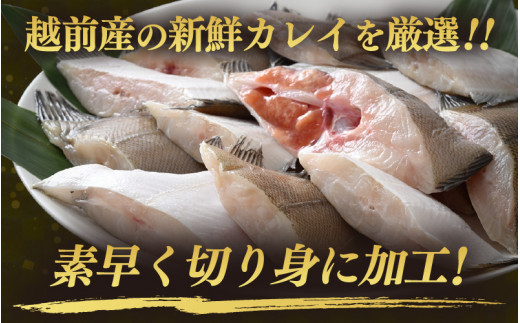 福井県越前町のふるさと納税 越前産 カレイ 切り身 たっぷり1kg バラ凍結 最短5営業日以内発送！ 使い勝手抜群！福井県網元漁師が厳選！肉厚な越前産カレイ（無塩） 【煮つけ用 かれい 鰈 塩焼き 焼き魚 煮付け バラ凍結便利 惣菜 冷凍食品 おかず 家計応援】 [e15-a057]