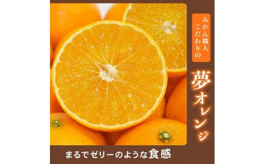 愛媛県愛南町のふるさと納税 【訳あり】みかん職人の夢オレンジ 3kg【発送期間：11月中旬～1月下旬】 柑橘 果物 フルーツ 愛媛 みかん職人武田屋 蜜柑 愛果28号 愛媛果試第28号 まどんな 大小ミックスサイズ