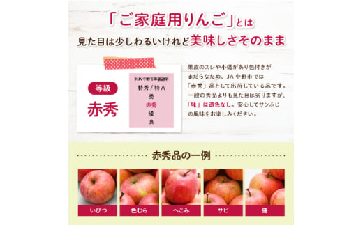 長野県中野市のふるさと納税 JA中野市の産直りんご「サンふじ」ご家庭用 10kg以上(28～36玉入)_ 林檎 リンゴ 訳あり 訳アリ わけあり 10kg 長野県 信州 くだもの 果物 フルーツ 人気 サンフジ 特産品 産地直送 赤秀 中野市 常温 家庭用 規格外 【1481009】