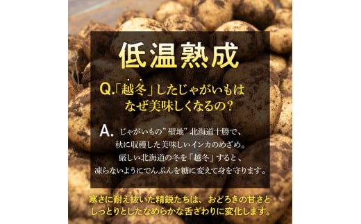 北海道芽室町のふるさと納税 【先行受付】【2025年2月より順次発送】北海道十勝芽室町  雪室熟成越冬インカのめざめ5kg me001-005c