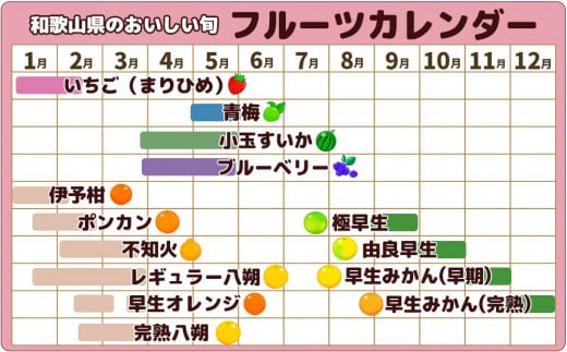 和歌山県印南町のふるさと納税 【訳あり】ご家庭用 紀州南高梅 はちみつ漬つぶれ梅 2kg  わけあり 和歌山県産【梅干 訳ありうめぼし 家庭用 減塩 南高梅 はちみつ 蜂蜜 国産  和歌山県印南町 BC63-NT】