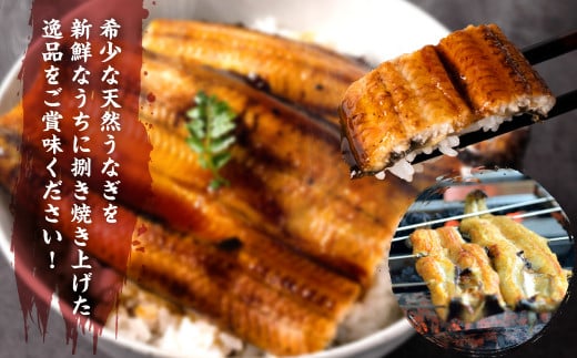 熊本県八代市産 天然うなぎ白焼き(中) 2本 (計300～350g) 蒲焼のたれ付き - 熊本県八代市｜ふるさとチョイス - ふるさと納税サイト