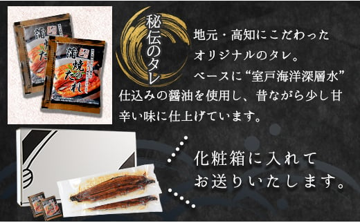 高知県香南市のふるさと納税 鰻 ウナギかば焼き うなぎ 国産 約200g×2尾(愛知県産) 人気 養殖 冷凍 ウナギ かばやき 惣菜 お手軽 加工品 加工食品 魚介類 フジ物産 fb-0013