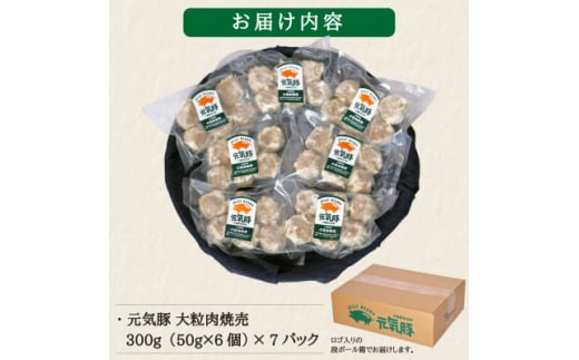 千葉県多古町のふるさと納税 ＜千葉県産三元豚＞元気豚 大粒肉焼売(シューマイ)セット　2.1kg(50g×42個)【1032621】