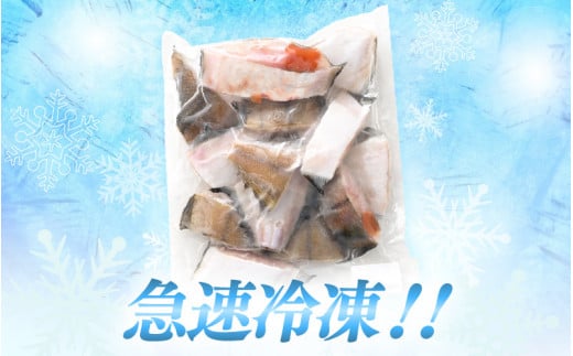 福井県越前町のふるさと納税 越前産 カレイ 切り身 たっぷり1kg バラ凍結 最短5営業日以内発送！ 使い勝手抜群！福井県網元漁師が厳選！肉厚な越前産カレイ（無塩） 【煮つけ用 かれい 鰈 塩焼き 焼き魚 煮付け バラ凍結便利 惣菜 冷凍食品 おかず 家計応援】 [e15-a057]