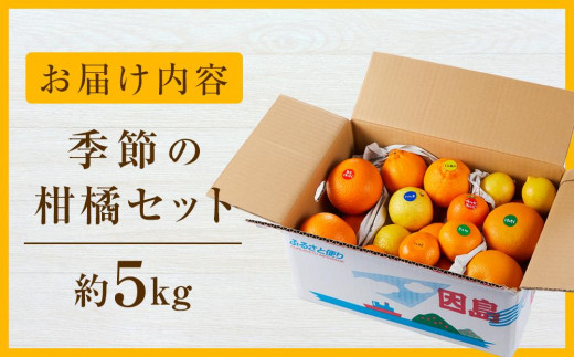 広島県尾道市のふるさと納税 【先行予約】季節の柑橘セット約5kg ＜2025年1月下旬から発送＞