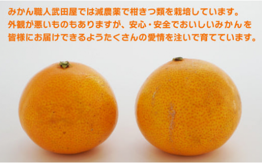 愛媛県愛南町のふるさと納税 【訳あり】みかん職人の夢オレンジ 小粒っ子 3kg【発送期間：11月中旬～1月下旬】 柑橘 果物 フルーツ 愛媛 みかん職人武田屋 蜜柑 愛果28号 愛媛果試第28号 まどんな 小玉 蜜柑