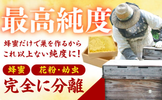 極国産巣みつ 620g 蜂蜜 はちみつ ハチミツ