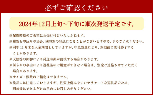 愛媛の旬の柑橘 「紅まどんな」約1.7㎏ 果物 くだもの フルーツ 柑橘 かんきつ【12月頃発送】（11）