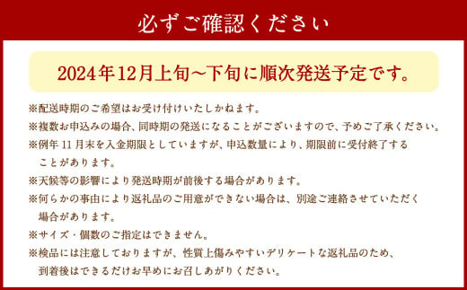 愛媛の旬の柑橘 紅まどんな（専用箱）約2.5㎏ 果物 くだもの フルーツ 柑橘 かんきつ 【12月頃発送】（14）