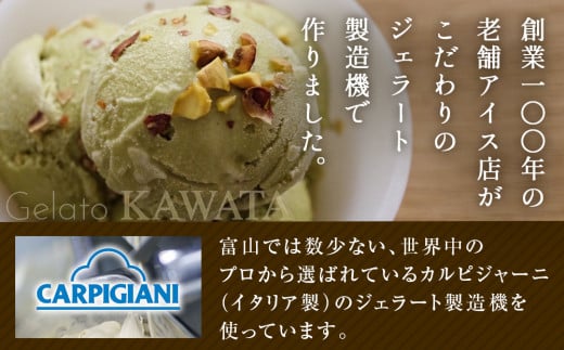 富山県氷見市のふるさと納税 【Himi Gelato】訳ありジェラート２Lピスタチオ