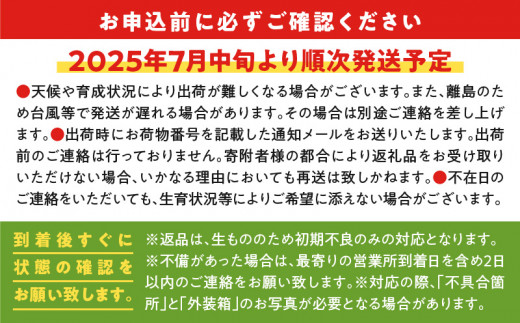 鹿児島県知名町のふるさと納税 【2025年先行予約】竹マンゴーファームの完熟マンゴー1キロ（2～3個入り）　C039-004