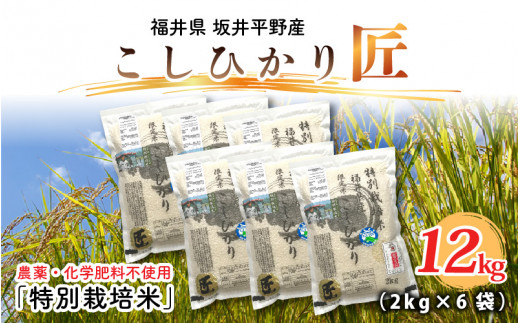 【先行予約】【令和6年産・新米】農薬・化学肥料不使用 コシヒカリ匠 12kg (2kg × 6袋)（玄米）【2024年10月上旬以降順次発送予定】 [D-2915_02] 344077 - 福井県坂井市