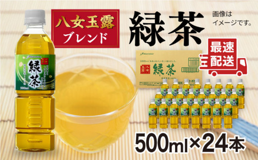 八女 玉露入り 緑茶 500ml × 24本 糸島市 / スターナイン お茶 ペットボトル 