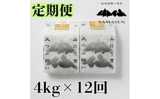 （新米）令和6年産米【定期便】山仙（いのちの壱）2kg×2（4kg）×12回 すがたらいす 下呂市金山産 2024年産 毎月 4キロ×12カ月 お米 精米 コシヒカリ 下呂温泉 下呂市 米 　ブランド米 1454351 - 岐阜県下呂市