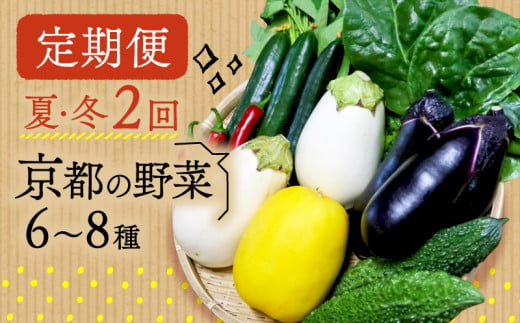 【定期便】2回 夏冬の野菜6～8種 セット 夏 冬 お届け 京野菜 京都 なす 野菜 夏野菜 冬野菜 おまかせ 有機 栽培 年2回 10000 円 1533079 - 京都府京都府庁