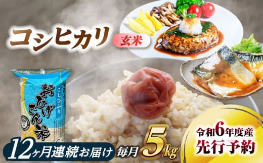 【12回定期便】コシヒカリ　玄米　5kg×12回　米　お米　ご飯　愛西市/脇野コンバイン [AECP035] 1442014 - 愛知県愛西市