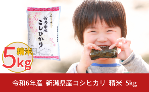 新米 先行予約 新潟県産 コシヒカリ 5kg こしひかり 令和6年産 米 [株式会社白熊]【010S097】 868237 - 新潟県三条市