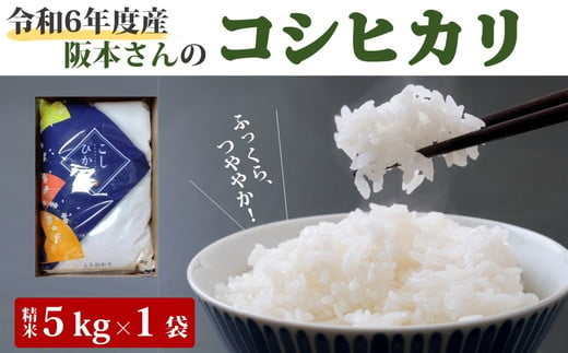 コシヒカリ 精米5kg 令和6年産 ｜ 久万高原町 米 新米 お米 こめ コメ 愛媛 ※2024年9月中旬頃より順次発送予定 ※離島への配送不可 1452547 - 愛媛県久万高原町