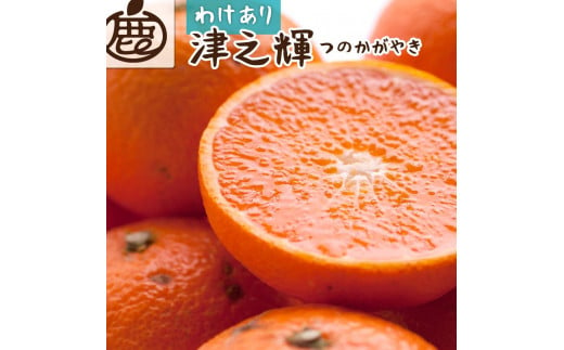 ＜2月より発送＞家庭用 津之輝2kg+60g（傷み補償分）つのかがやき【わけあり・訳あり】【光センサー選別】【IKE58】 1452466 - 和歌山県由良町