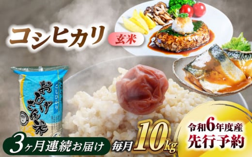 【3回定期便】コシヒカリ 玄米 10kg×3回 愛西市 / 脇野コンバイン 米 お米 コメ [AECP036] 1442015 - 愛知県愛西市