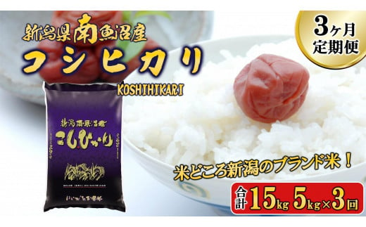 【令和6年産新米予約／令和6年11月上旬より順次発送】【A-3定期便】南魚沼産コシヒカリ5kg×3回