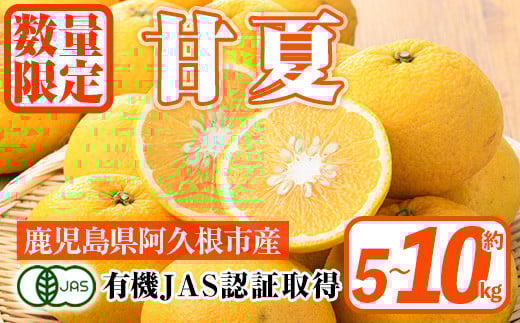[先行予約受付中!2026年2月上旬以降発送予定]数量限定!有機JAS 甘夏(約5〜10kg) 国産 果実 果物 フルーツ 柑橘 デザート 期間限定 有機栽培[中村農場]