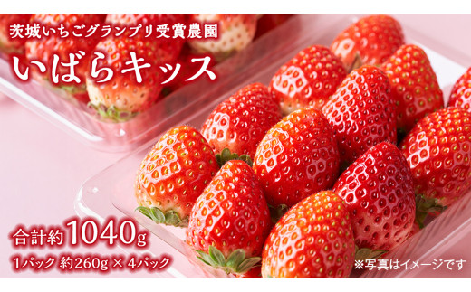 茨城県産　希少！いちご　　とちおとめ　16パックセット 風早いちご園 とちおとめ 冷凍いちご2kg(1kg×2パック) 真空冷凍