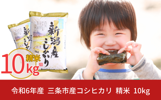 新米 新潟県 三条市産 コシヒカリ 10kg こしひかり 令和6年産 米 [株式会社白熊]【013S009】 868240 - 新潟県三条市