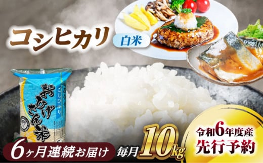 【6回定期便】コシヒカリ　白米　10kg×6回　米　お米　ご飯　愛西市/脇野コンバイン [AECP028] 1442007 - 愛知県愛西市