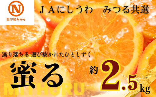 JAにしうわの季節の柑橘(みつる共選「蜜る」約2.5kg)＜C08-74＞【1447980】 1391364 - 愛媛県八幡浜市