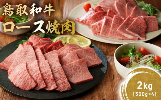 鳥取和牛 極上ロース焼肉 2kg ( 500g × 4 ) 国産 ブランド牛 牛肉 焼肉 希少 和牛 黒毛和牛 肉 ロース BBQ 冷凍 鳥取県 倉吉市 KR1399 1452353 - 鳥取県倉吉市