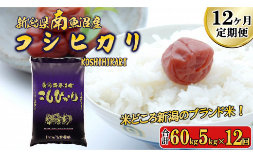 【令和6年産新米予約／令和6年11月上旬より順次発送】【A-12定期便】南魚沼産コシヒカリ5kg×12回 451515 - 新潟県南魚沼市