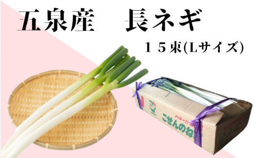 ごせんのネギ Lサイズ 15束 野菜 ネギ 長ネギ 葱  新潟県 五泉市 五泉市園芸組織連絡協議会 1461640 - 新潟県五泉市