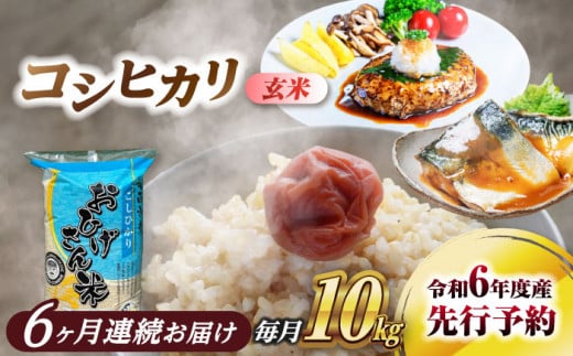 【6回定期便】コシヒカリ　玄米　10kg×6回　米　お米　ご飯　愛西市/脇野コンバイン [AECP037] 1442016 - 愛知県愛西市