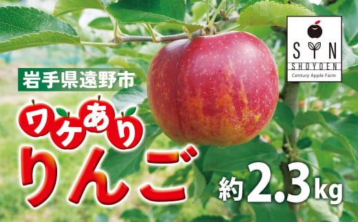 訳あり りんご（約2.3kg） / 岩手県 遠野市 産 松陽園 【先行予約：10月より順次発送】 1055757 - 岩手県遠野市