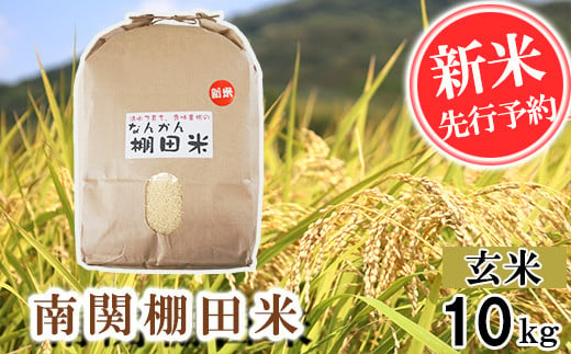 【令和6年産】南関棚田米 玄米 10kg  熊本県 南関町産 単一原料米 ヒノヒカリ 産地直送 コメ お米 ごはん