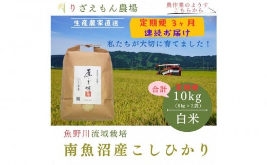 《新米》【定期便3回×10kg《合計30kg》】令和６年産　南魚沼産コシヒカリ　白米10kg＼生産農家直送／ 514180 - 新潟県南魚沼市