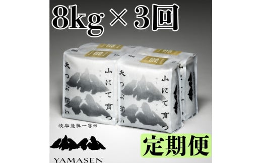 （新米）令和6年産米【定期便】山仙（いのちの壱）2kg×4（8kg）×3回 すがたらいす 下呂市金山産 2024年産 毎月 8キロ×3カ月 お米 精米 コシヒカリ 下呂温泉 下呂市 米 ブランド米 1454343 - 岐阜県下呂市