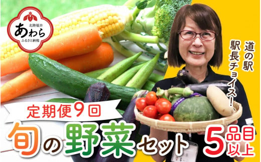 【定期便9回】道の駅駅長チョイス！ 旬の野菜セット 5品目以上 / 季節 野菜 ボックス BOX セット セレクト 農家 おまかせ 多品目 旬 詰め合わせ 根菜 葉物 1373416 - 福井県あわら市